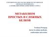 Метаболизм простых и сложных белков