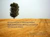 Иллюстрации к стихотворению М.И. Лермонтова «Когда волнуется желтеющая нива»