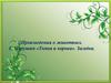 Произведения о животных. Е. Чарушин «Томка и корова». Загадка