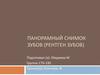 Панорамный снимок зубов (рентген зубов)
