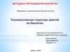 Технологическая структура занятий по биологии