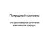 Природный комплекс - это закономерное сочетание компонентов природы