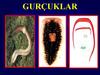 Guruklar. Bular guçuklaryň 3 görnüşi