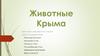 Животные Крыма