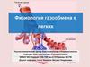 Физиология газообмена в легких