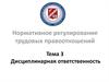 Дисциплинарная ответственность. Тема 3