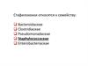 Стафилококки, стрептококки. Тесты