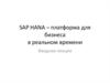 SAP HANA – платформа для бизнеса в реальном времени