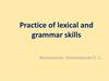 Practice of lexical and grammar skills