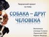 Собака – друг человека. 3 класс