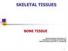 Skeletal tissues