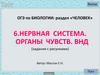 Нервная система человека. Органы чувств. (ОГЭ. Тест 6)