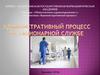 Административный процесс в стационарной службе