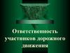 Ответственность участников дорожного движения. Понятия и виды административных наказаний