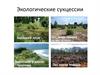 Экологические сукцессии. 9 класс