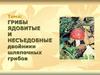 Грибы съедобные и несъедобные