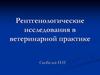 Рентгенологические исследования в ветеринарной практике