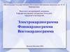 Электрокардиограмма. Фонокардиограмма. Вектокардиограмма