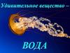 Удивительное вещество - вода