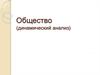 Общество (динамический анализ)