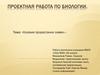 Проектная работа по биологии  «Условия прорастания семян»