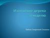 Изменение дерева за неделю