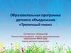 Образовательная программа детского объединения «Тряпичный гном»