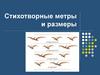 Стихотворные метры и размеры. Стопа