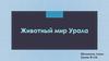 Животный мир Урала