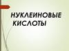 Нуклеиновые кислоты