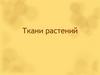Ткани растений