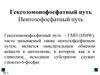Гексозомонофосфатный путь. Пентозофосфатный путь. Тема 7