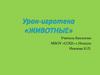 Урок-игротека «Животные»