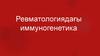 Ревматология. Иммуногенетика