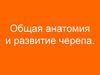 Общая анатомия и развитие черепа