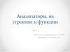 Анализаторы, их строение и функции