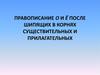 Правописание "о" и "ё" после шипящих в корнях существительных и прилагательных