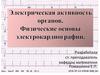 Электрическая активность органов. Физические основы электрокардиографии