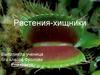 Растения-хищники