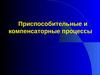 Приспособительные и компенсаторные процессы