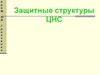 Защитные структуры ЦНС