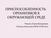 Приспособленность организмов к окружающей среде