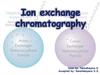 Ion exchange chromatography
