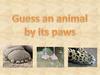 Guess an animal by its paws