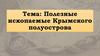 Полезные ископаемые Крымского полуострова