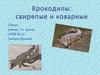 Крокодилы: свирепые и коварные
