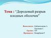 Дородовый разрыв плодных оболочек