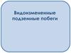 Видоизмененные подземные побеги
