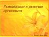 Размножение и развитие организмов