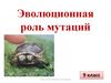 Эволюционная роль мутаций (9 класс)